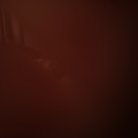 Meet your Posher, Mitzi - Picture 1 of 1